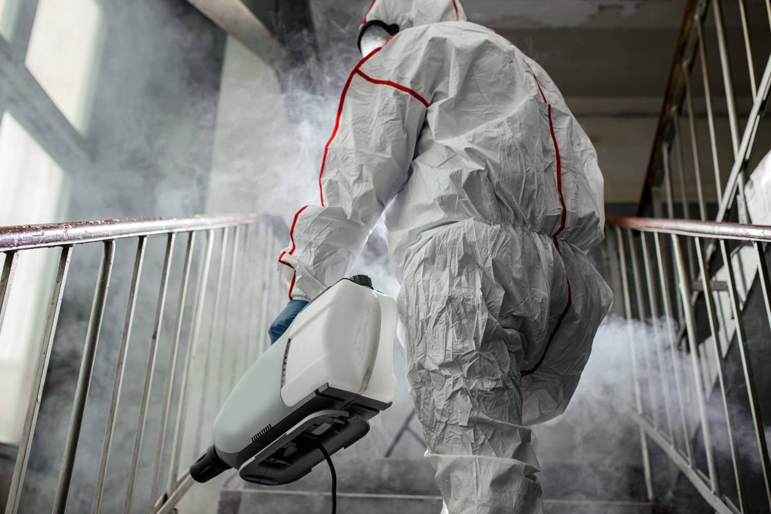 Everything You Need To Know About The Mold Remediation Process